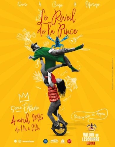 Affiche Festival Le Réveil de La Pince